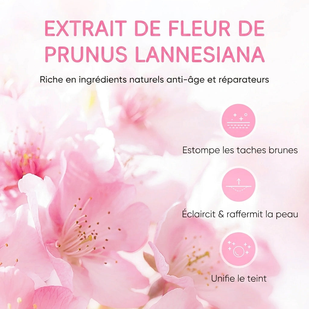 Coffret de Voyage Sakura Japon 4 Pièces Mini